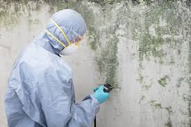 Best Mold Remediation for Healthcare Facilities  in Burnham, PA